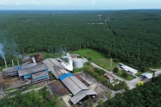 PT Agrinas Palma Nusantara Ubah Pola Kemitraan PSR Dengan Koperasi Sebagai Pusat Pengelolaan Usaha Petani