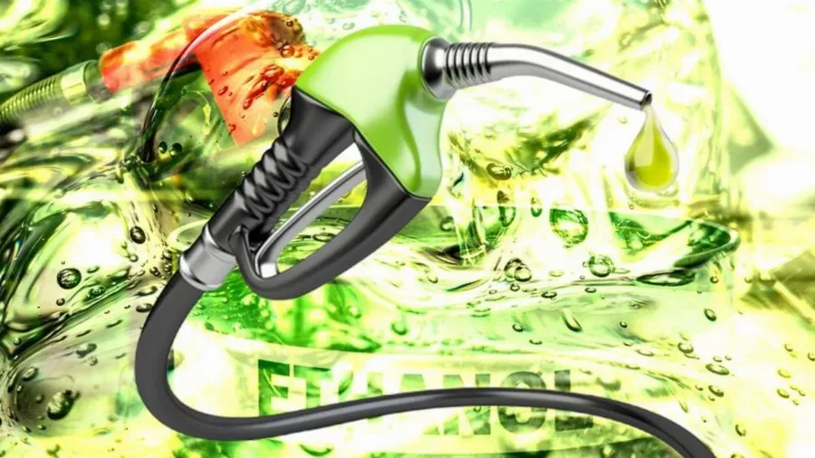 Ekosistem Bioenergi: B50, E5, dan Peluang Emas Generasi Muda untuk Kedaulatan Energi Nasional