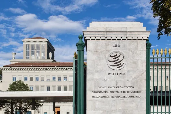 WTO Kabulkan Sebagian Gugatan Fatty Acid Indonesia terhadap Uni Eropa