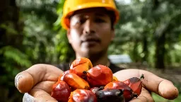 BPDP Tegaskan Riset dan Inovasi Menjadi Pilar Utama Meningkatkan Daya Saing Industri Kelapa Sawit