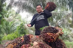 Realisasi Program PSR di Riau Tembus 55 Ribu Hektare, Kucuran Dana Capai Rp1,9 Triliun