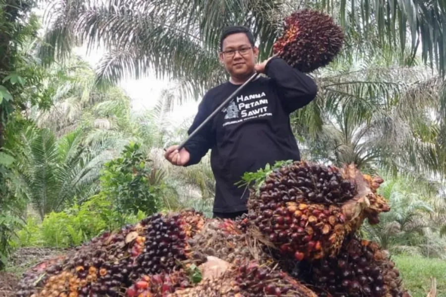 Realisasi Program PSR di Riau Tembus 55 Ribu Hektare, Kucuran Dana Capai Rp1,9 Triliun