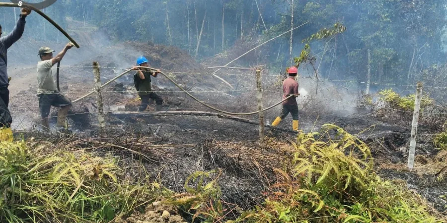 Tanggap Bencana: PT CAN Terjunkan Tim dan Mobil Damkar Padamkan Kebakaran Lahan Warga di Morowali Utara