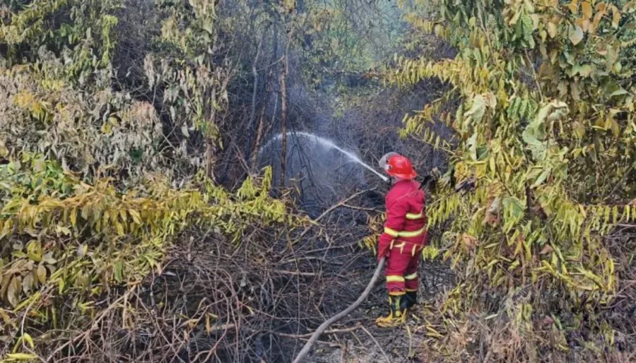 Sinergi Cepat di Membalong: Tim Gabungan dan PT PBB Padamkan Kebakaran Lahan di Belitung dalam 2 Jam