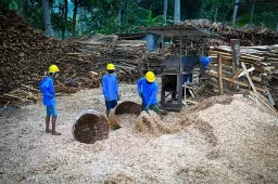 Serap 10 Juta Ton Biomassa, PLN EPI Proyeksi Penciptaan 150 Ribu Green Jobs dan Pangkas 12 Juta Ton Emisi