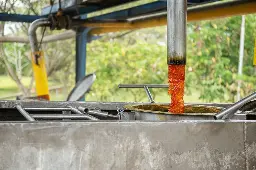 Apa Jadinya Tanpa Sawit? Risiko Efek Domino pada Produk Pangan, Kosmetik, dan Energi