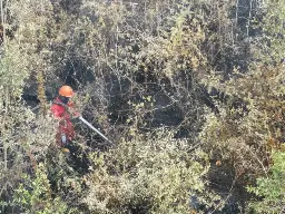 Hotspot Nasional Anjlok 67 Persen, Kemenhut Tetap Siagakan 61 Armada Udara dan Selamatkan 272 Satwa Terdampak Karhutla