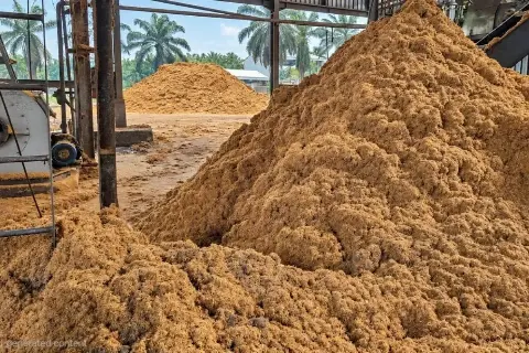 Ubah Limbah Jadi Nilai Tambah, Pakar Buka-Bukaan Soal Potensi dan Kendala Logistik Biomassa Sawit