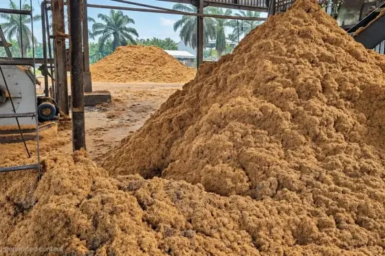Ubah Limbah Jadi Nilai Tambah, Pakar Buka-Bukaan Soal Potensi dan Kendala Logistik Biomassa Sawit