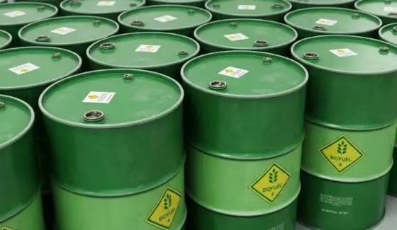 GAPKI Usulkan Kebijakan Biofuel Fleksibel untuk Menjaga Ekspor dan Ketahanan Sawit Nasional