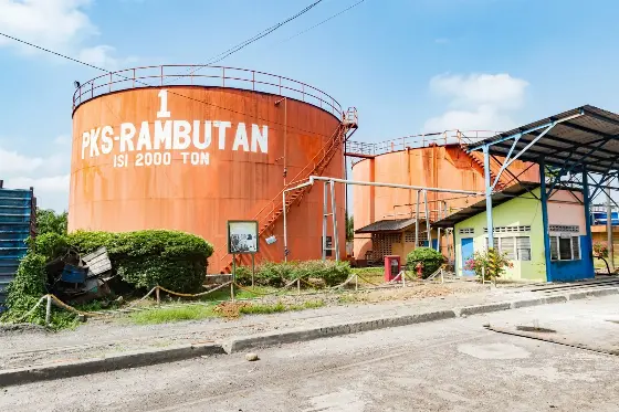 Penjualan CPO Berpremi Tumbuh 148 Persen, PTPN IV PalmCo Akselerasi Sertifikasi RSPO dan ESG