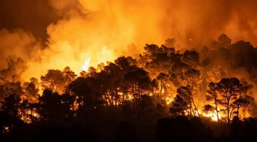Pemerintah Bidik Revisi Pasal 69 UU PPLH, Industri Sawit Pertegas Komitmen Zero Burning