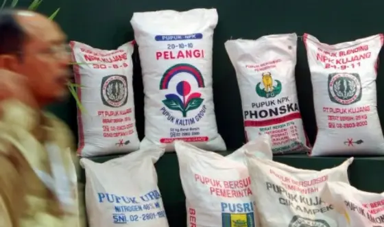 Penebusan Pupuk Makin Dekat dan Hemat, Petani Apresiasi Peran KDKMP Pupuk Indonesia