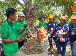 Latih Petani Swadaya Berau hingga Batch 109, Triputra Agro Persada Libatkan 40% Peserta Perempuan