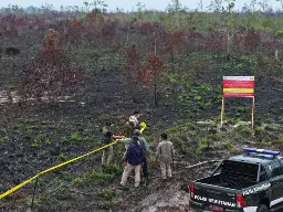Kemenhut Perketat Sanksi Karhutla: 32 Perusahaan Disanksi Administrasi, 79 Kasus Masuk Penyidikan