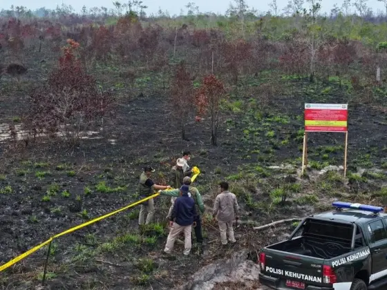 Kemenhut Perketat Sanksi Karhutla: 32 Perusahaan Disanksi Administrasi, 79 Kasus Masuk Penyidikan