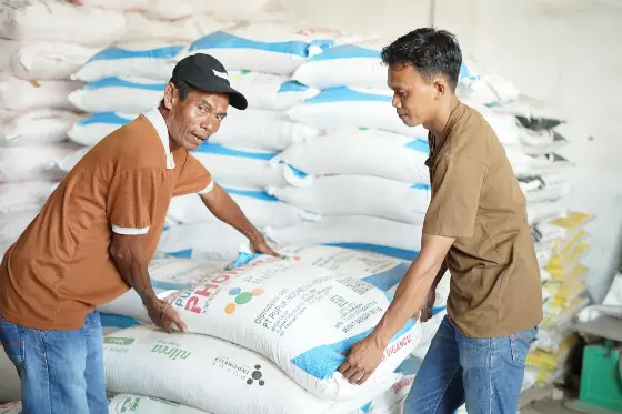 Kementan Pangkas HET Pupuk Subsidi: Biaya Produksi Ditekan, Penyelarasan Swasembada Pangan Terakselerasi