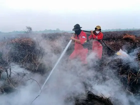 Terdeteksi 147 Titik, Hotspot Karhutla Nasional Turun Tajam Ditopang Hujan dan Pemadaman Darat