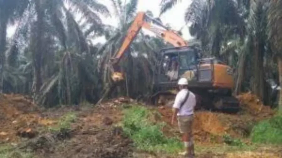 Disbun Jambi Targetkan 7.800 Hektare PSR Pada 2026