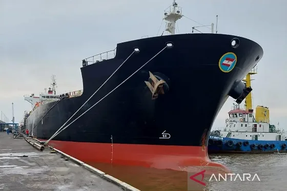 CIF Rotterdam: Pengertian dan Perannya sebagai Acuan Harga CPO Dunia