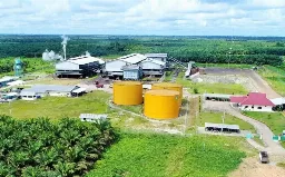 PT Pinago Utama Tbk Resmi Berganti Nama Menjadi PT AEP Pinago Plantations Tbk Hari Ini