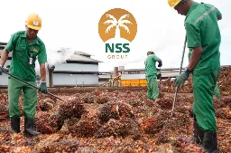 Nusantara Sawit Membukukan Laba Bersih Rp334,56 Miliar