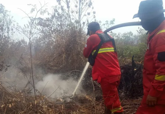 Karhutla di Riau Belum Usai, Manggala Agni Kerahkan Tim ke Lima Lokasi