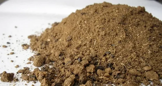 Palm Kernel Meal Pakan Ternak Altrenatif