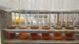 Pemanfaatan Iradiasi Gamma untuk Produksi Biodiesel dari Minyak Jelantah