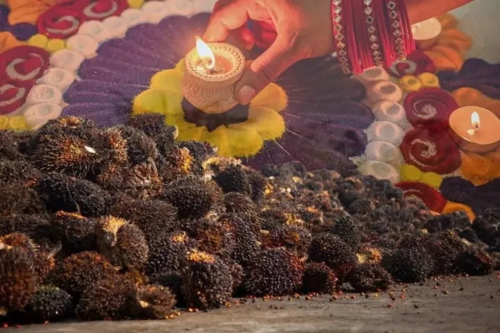 Sambut Musim Festival, Impor Sawit India Melonjak 50% Jadi 730 Ribu Ton pada Juli 2026