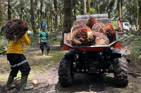 B50 Tingkatkan Devisa Negara hingga Tekan Impor Solar