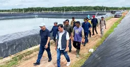 Limbah Udang Diubah Menjadi Pupuk Organik Kelapa Sawit