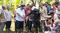 Menteri LH Perkuat Sekat Kanal di Pelalawan, Jaga Gambut Tetap Basah