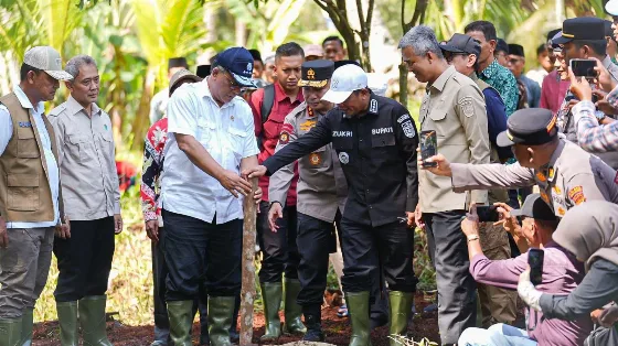 Menteri LH Perkuat Sekat Kanal di Pelalawan, Jaga Gambut Tetap Basah