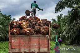 Ekonomi Hijau Kaltim Diperkuat Lewat Kebun Bebas Api