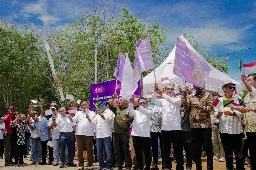 Bibit Sawit Tanzania Harapan Baru Produksi Sawit Nasional