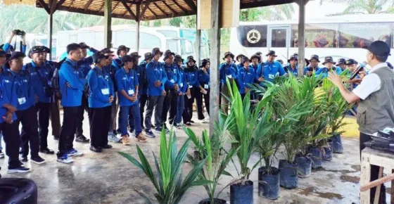 106 Pekebun Kelapa Sawit Kabupaten Muara Enim, Ikuti Pelatihan Teknis Budidaya Kelapa Sawit