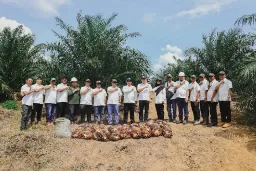 PalmCo Mencatatkan Capaian Positif Dalam Program Peremajaan Kebun Sawit, Panen Pada Usia 2,5 Tahun Sebesar 7,52 Ton/Hektare