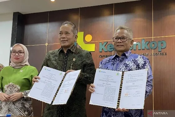 Agrinas Libatkan Koperasi Dalam Pengelolaan Lahan Sawit Melalui Skema Kemitraan Plasma