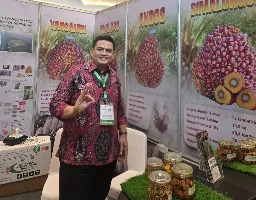 KSO Kebun Benih Adolina Bidik Penjualan 20.000 Kecambah Sawit di SIEXPO 2026